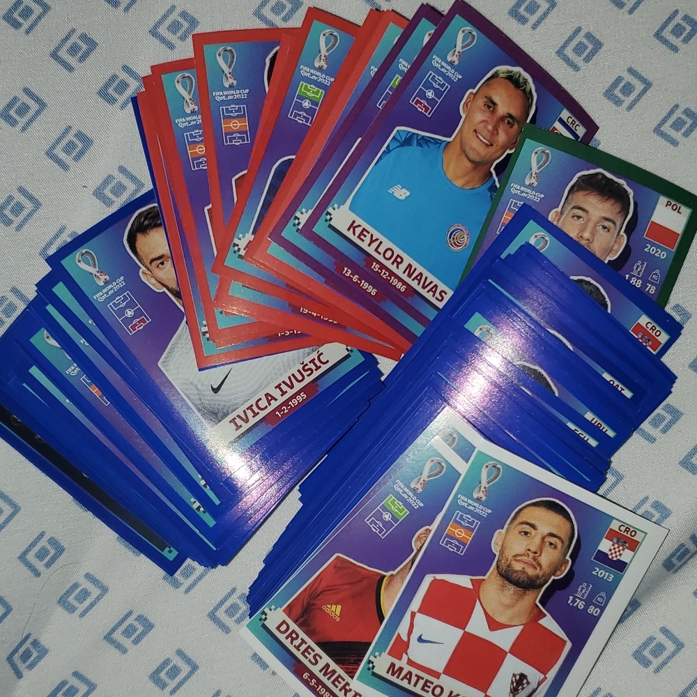 World cup 2022 panini
